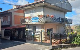 Affittacamere Bb Mariolo House